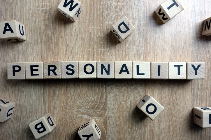 Curious about Personality Styles?